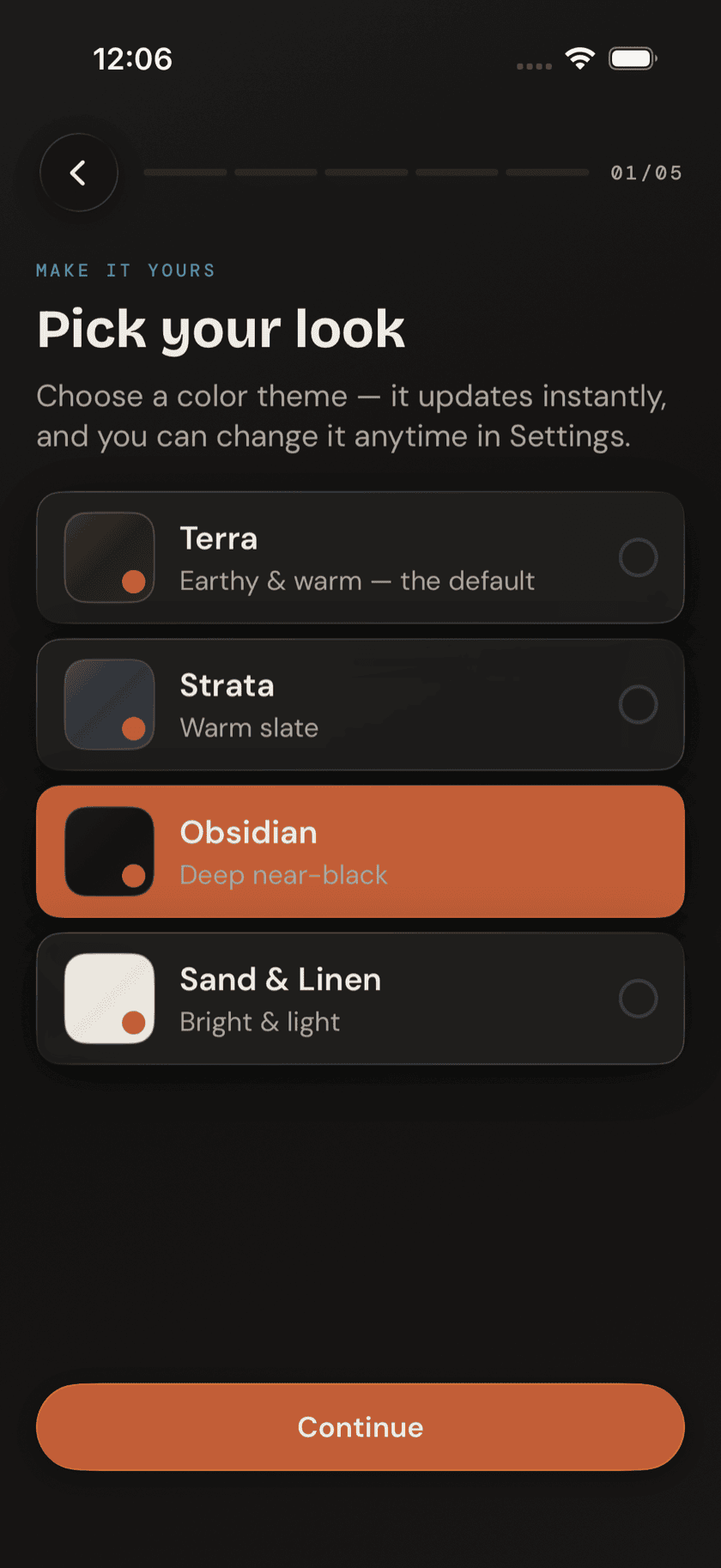 Onboarding Theme screen, mid-selection